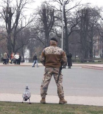 Прикрепленное изображение: 94_n.jpg